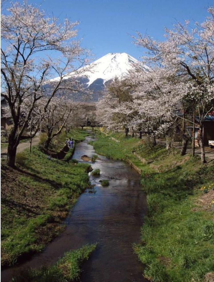东京除了富士山与樱花东京还是亚洲唯一举办过两届奥运会的城市