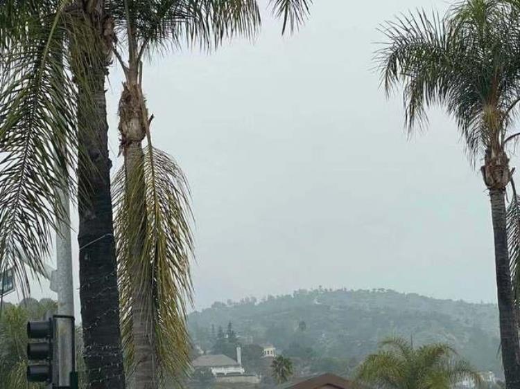 科比坠机身亡现场「篮球巨星科比意外坠机去世事故现场雾霾未散球迷落泪」