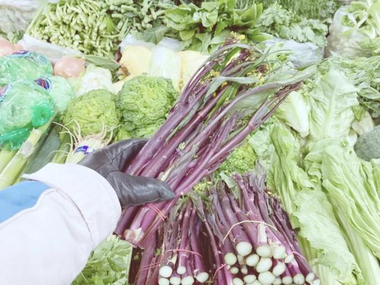 老胡同里的菜市场不仅物美价廉新鲜丰富还藏着冰墩墩