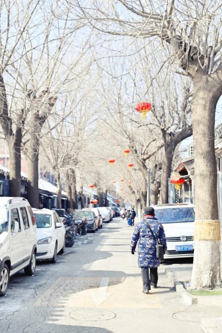 老胡同里的菜市场不仅物美价廉新鲜丰富还藏着冰墩墩