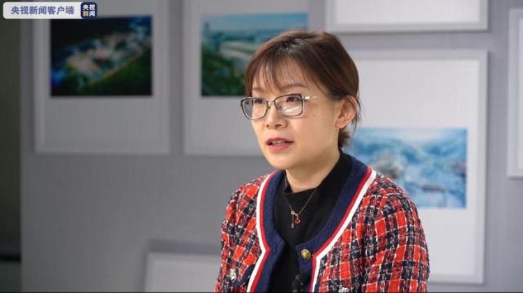 冬奥会图标篆刻「中国篆刻动起来了这些冬奥体育图标不简单」