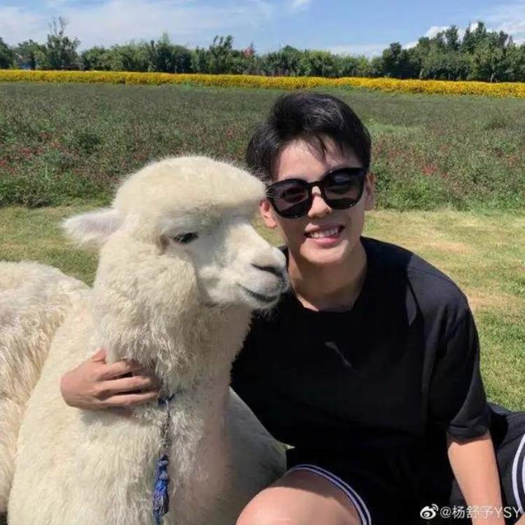 杨舒予是谁为啥那么火大部分球迷都是冲着她来的「杨舒予是谁为啥那么火大部分球迷都是冲着她来的」