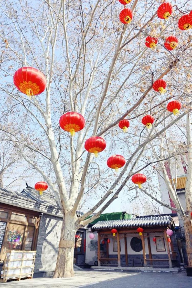 老胡同里的菜市场不仅物美价廉新鲜丰富还藏着冰墩墩
