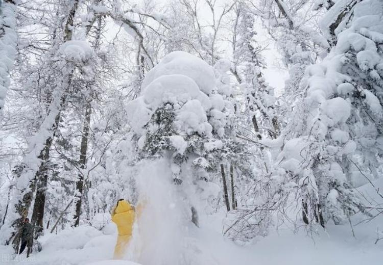 北京冬奥会对我国冰雪产业的影响「投资2000亿办北京冬奥会对中国有何影响或将打造万亿冰雪产值」