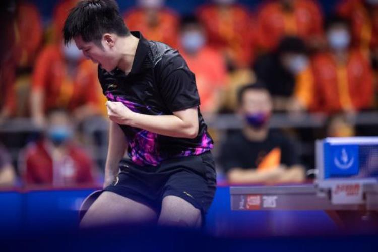 全国乒乓球锦标赛樊振东男单夺冠名单「全国乒乓球锦标赛樊振东男单夺冠」