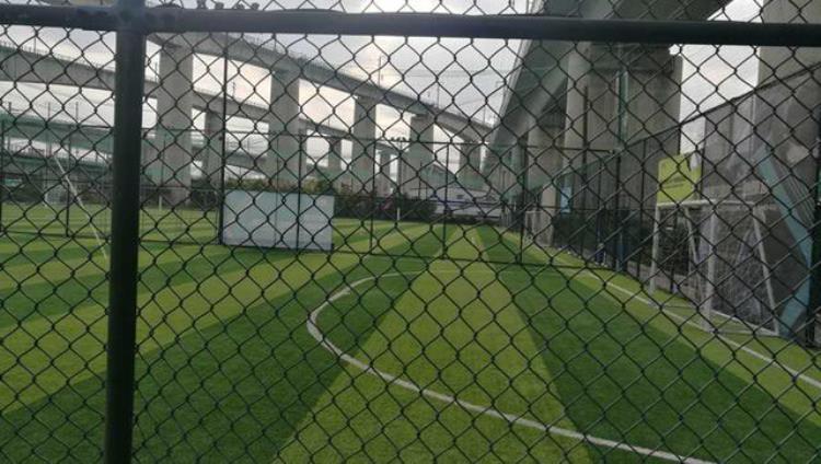 南京城市足球队最新报道「首届南京百灵鸟足球联赛新闻发布会在7号足球公园举行」