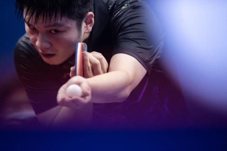全国乒乓球锦标赛樊振东男单夺冠