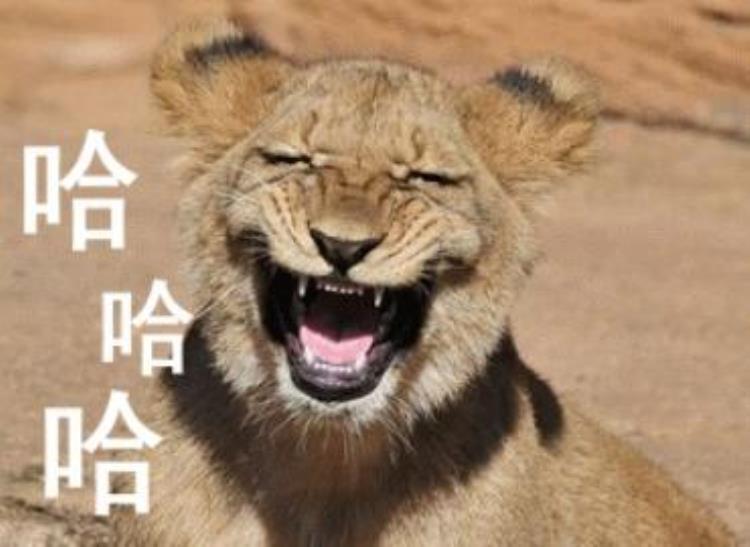 奥运会著名解说员「奥运会盘点央视知名体育赛事解说员你最喜欢哪个」