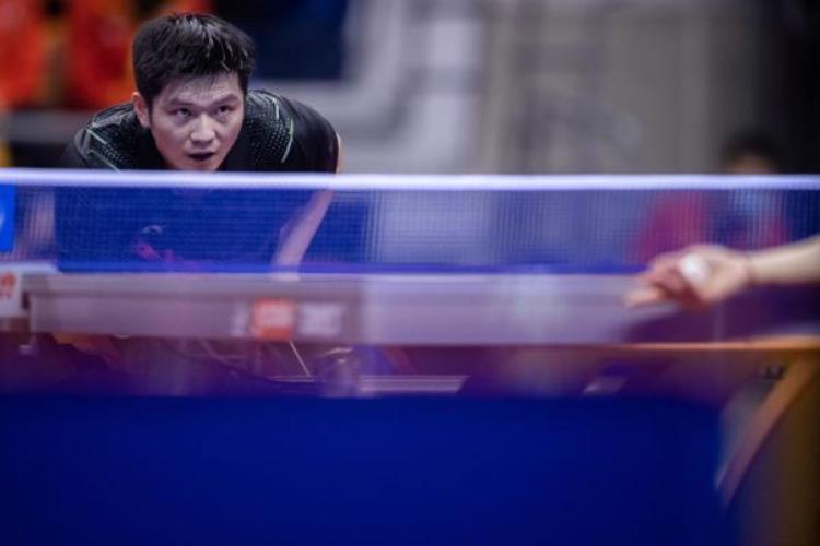 全国乒乓球锦标赛樊振东男单夺冠名单「全国乒乓球锦标赛樊振东男单夺冠」