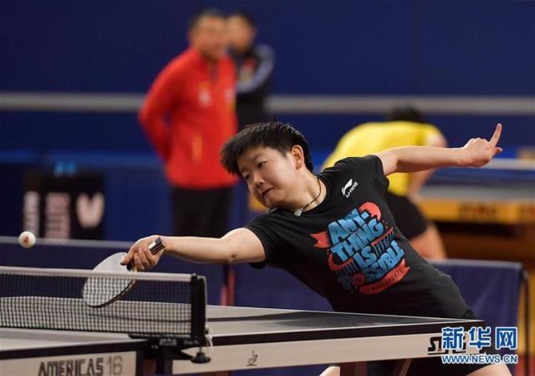 中国国家乒乓球队在多哈备战几年「中国国家乒乓球队在多哈备战」