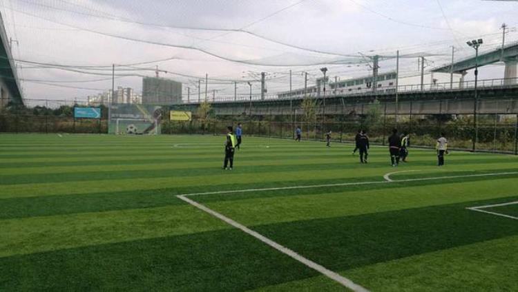 南京城市足球队最新报道「首届南京百灵鸟足球联赛新闻发布会在7号足球公园举行」