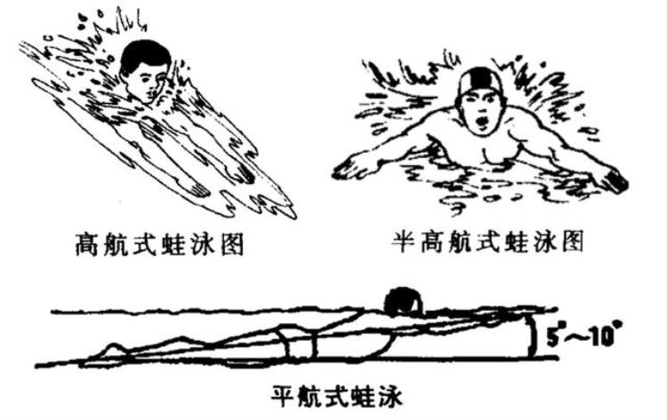 奥运比赛的泳姿进化史是什么「奥运比赛的泳姿进化史」