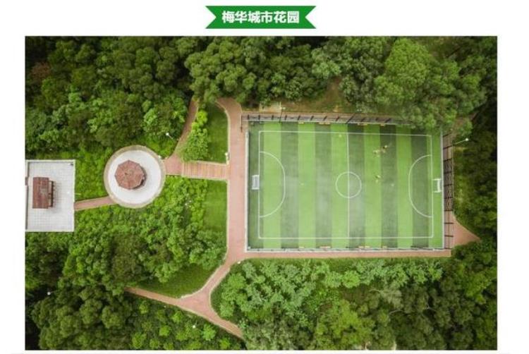 第一批校园足球特色学校「有你的母校吗香洲区又有6所学校入选省级校园足球推广学校名单」