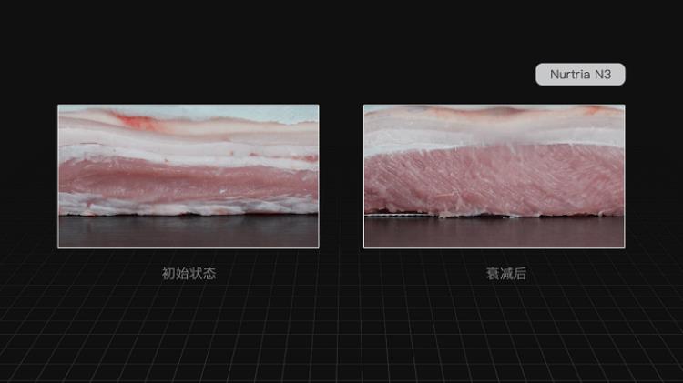 gxa和hyperice筋膜枪哪个好「专业级筋膜枪选购指南HyperIceGXA倍益康等五款产品大对比」