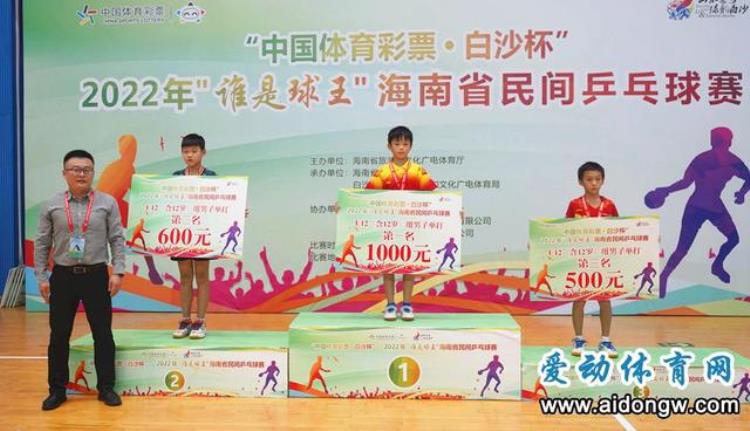 2020海南乒乓球比赛「各项乒王诞生2022年谁是球王海南省民间乒乓球赛白沙收官」