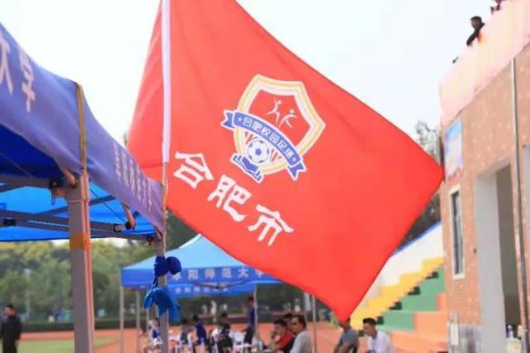 少年中国派出13支球队包揽安徽全省13冠下一步他们要走向全国