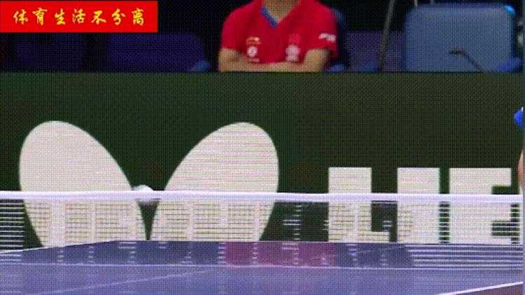 慢动作学习丹羽孝希反手侧切乒乓球防弧圈高级技术谈如何练习