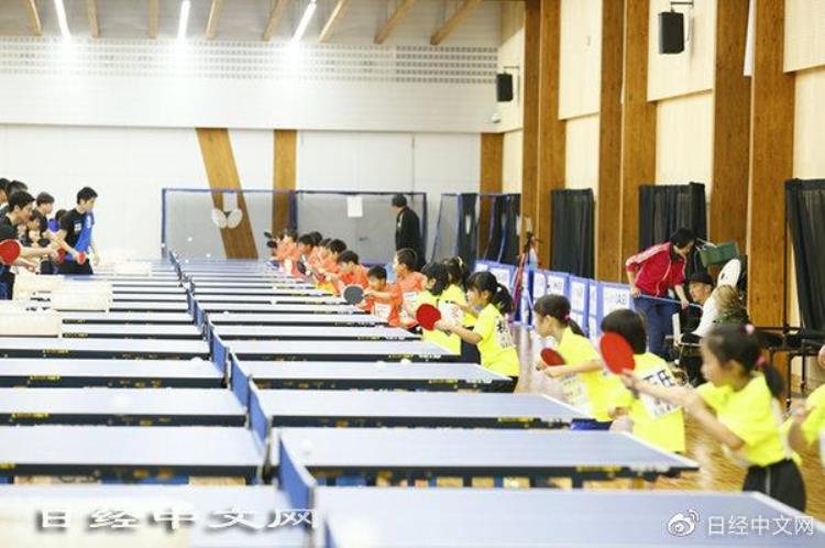 日本乒乓少年「日本乒乓追梦(4)世界级选手从7岁以下抓起」