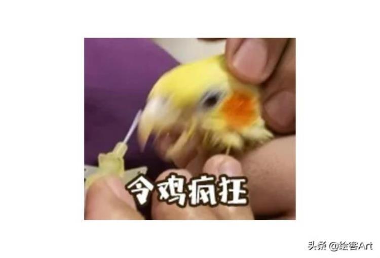 运动姿势绘画「又萌又燃原画师分享近100个运动姿势解锁你的奥运插画创作」