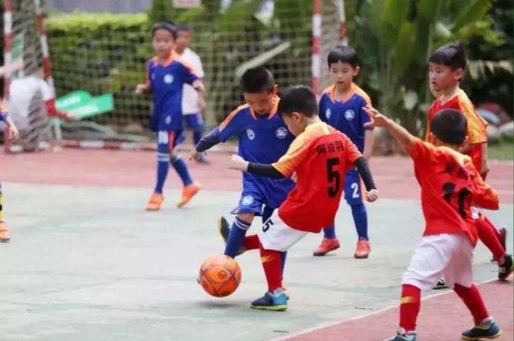 第一批校园足球特色学校「有你的母校吗香洲区又有6所学校入选省级校园足球推广学校名单」