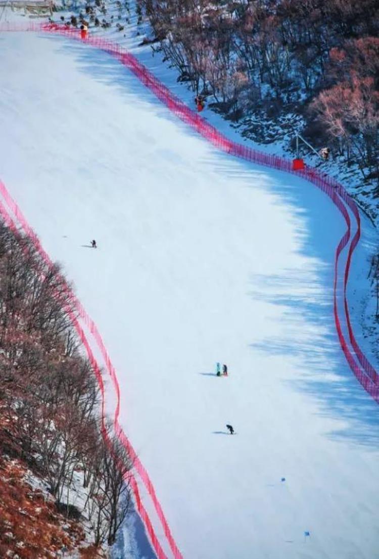 2022年北京冬奥会场地设计「和而不同2022北京冬奥会场馆设计」