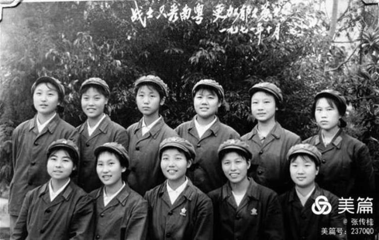 29军女兵排「二十九军女兵排印象」