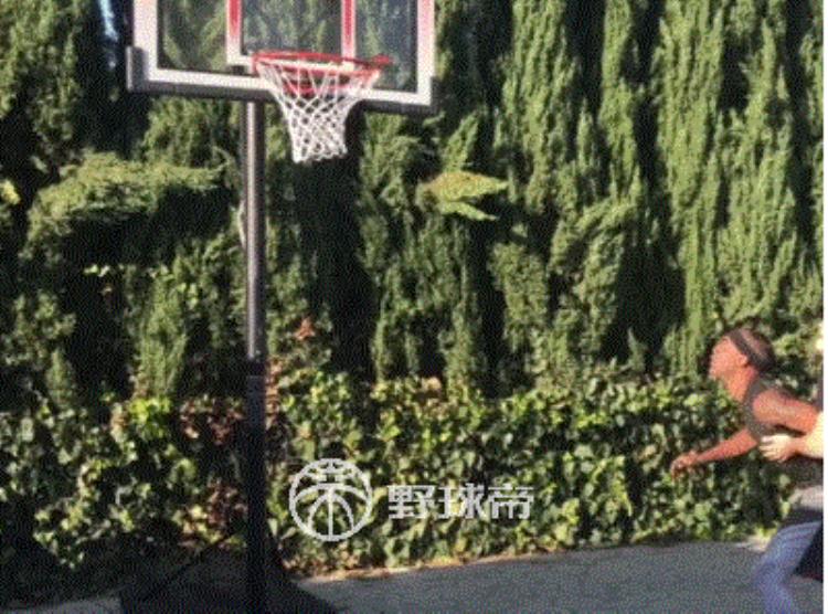 NBA模仿帝「NBA模仿帝居然也是个职业球员红的不是没有道理」