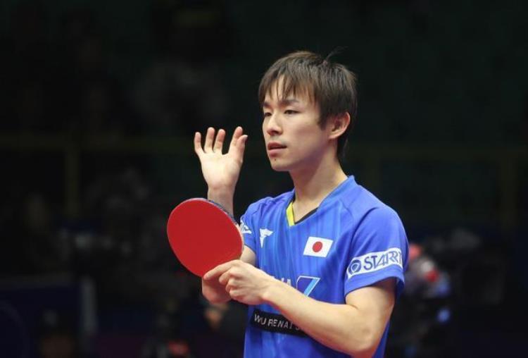 慢动作学习丹羽孝希反手侧切乒乓球防弧圈高级技术谈如何练习