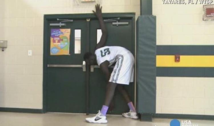 NBA巨人有多庞大亲眼看对比才知道差距姚明让犀牛像大狗