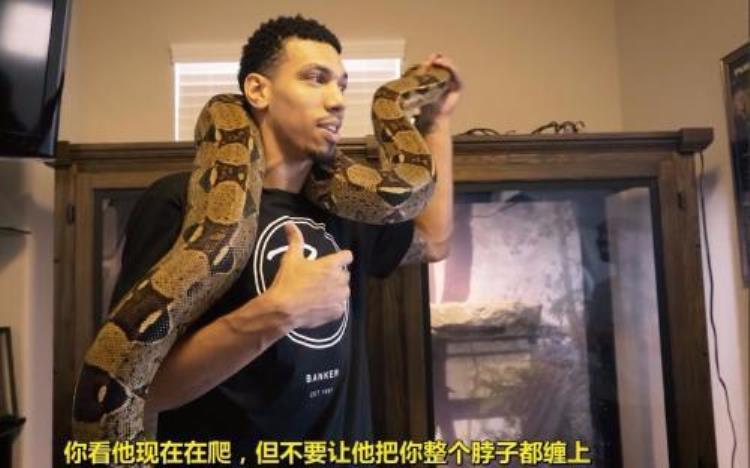NBA现场十大意外事件马刺球馆有蛇有蝙蝠基德制造免费暂停
