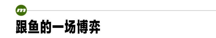 路亚新手进阶指南「路亚新手入门指南zip」