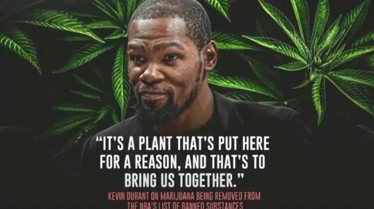 nba带奇的球员「奇特爱好NBA超级巨星休赛期那些另一重身份」