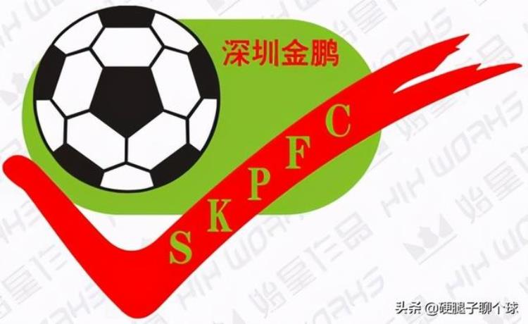 国内首家民企独资建队的足球俱乐部建队两年就被转卖深圳金鹏