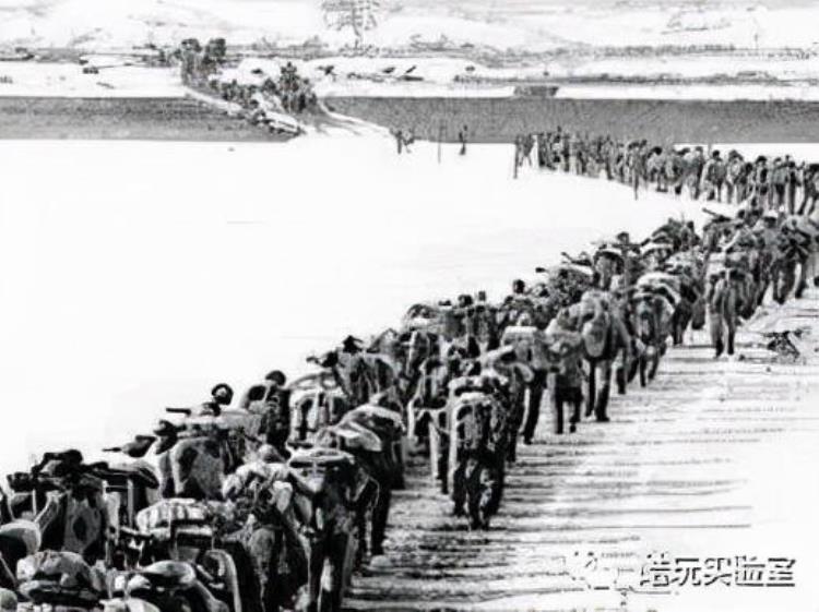 这场nba闹剧像极了147年前日本的棒球队「这场NBA闹剧像极了147年前日本的棒球」