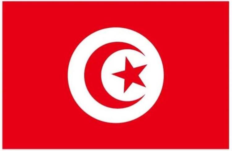 世界杯32天32国档案突尼斯