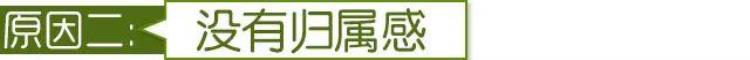 为什么欧洲篮球在中国不够火热「为什么欧洲篮球在中国不够火热」
