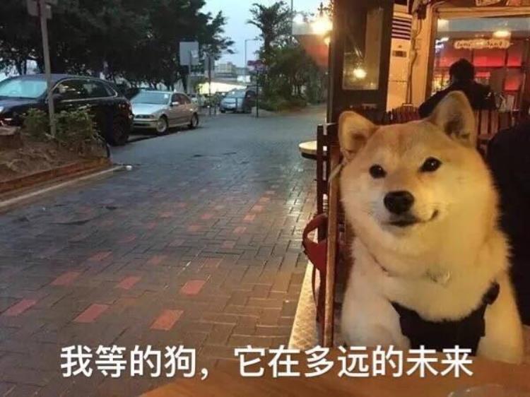 篮球场求婚的黑人「篮球场成求婚圣地黑人篮网主场求婚范范阿联作见证人」