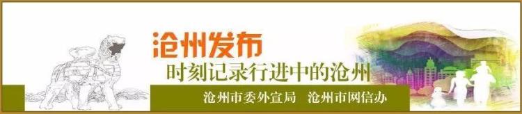 教育部认定沧州100所中小学获特色学校祝贺