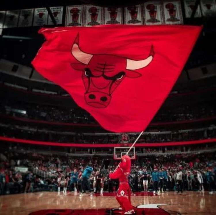 nba联盟的发展历程以及几只王朝球队和标志性球星「NBA联盟的发展历程以及几只王朝球队和标志性球星」
