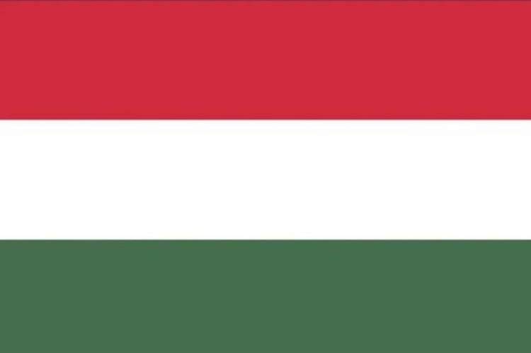 足球小国系列(三):带你了解匈牙利的球星们