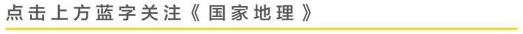 newera经典帽型「NewEra人人都戴的经典棒球帽春季百搭必备」