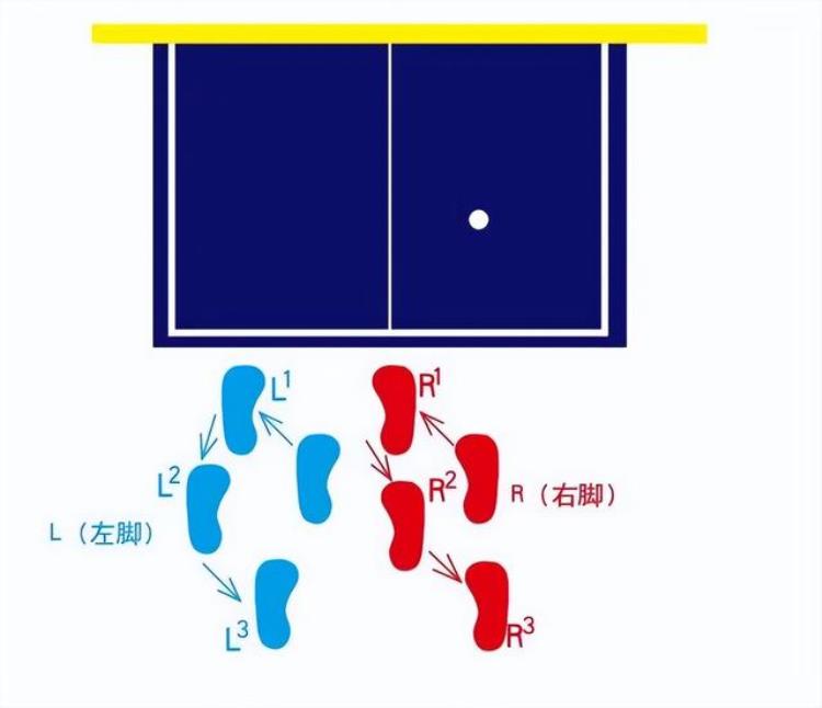 黄河教练乒乓球启蒙教学「黄河教练专栏乒乓球步法入门篇」