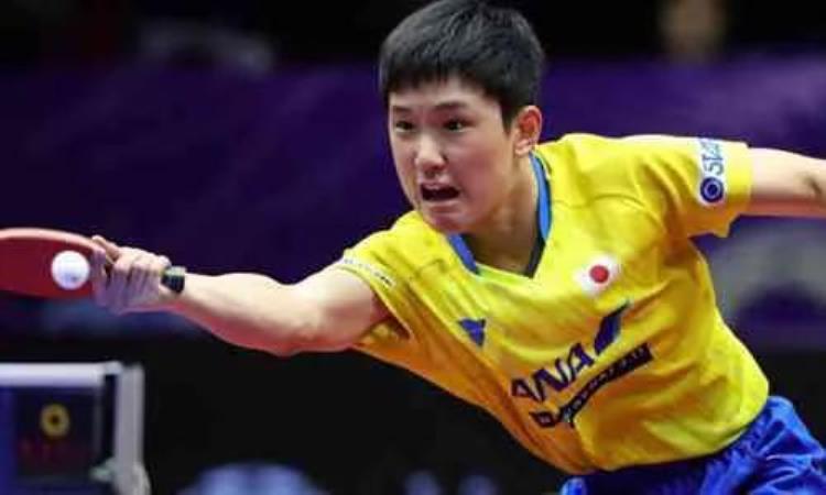 乒乓资料日本2021年度国家乒乓球队名单