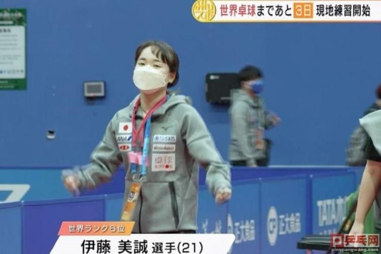 张本智和是好哥哥想把成都世乒赛熊猫玩偶送给妹妹日本队开练