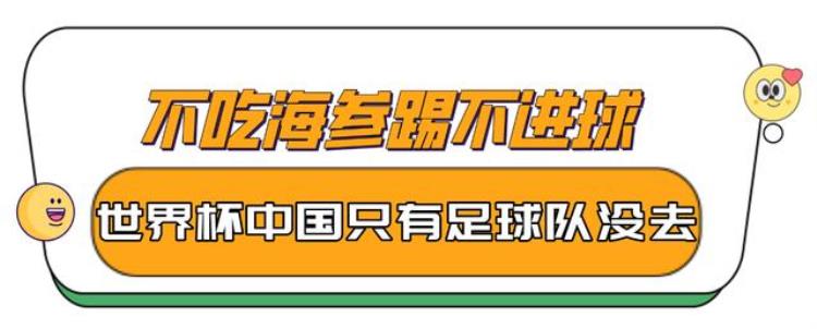 退钱哥支持国足「顶级嘲讽国足卡塔尔退钱哥呼唤中国男足韦世豪乌龙球踢得漂亮」