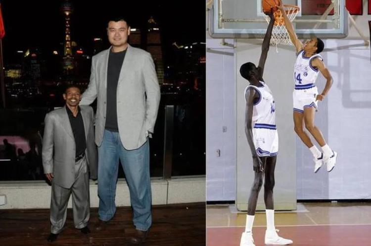 博格斯为什么能进nba「博格斯身高只有16米为什么他能成为NBA历史上了不起的球星」