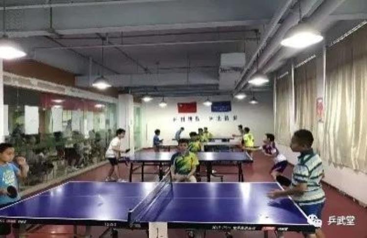 北京奥体中心乒乓球培训「北京世奥得乒乓球启蒙教练员培训」
