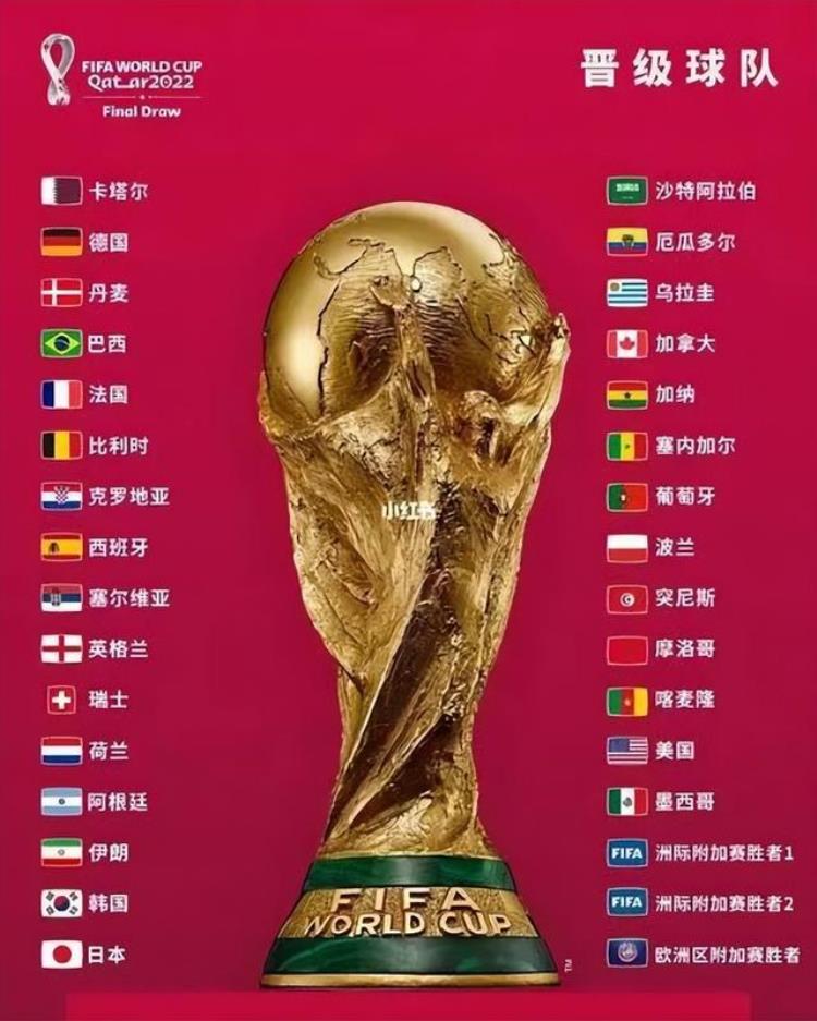 中国男足缺席世界杯赛让卡塔尔球迷很愤怒吗「中国男足缺席世界杯赛让卡塔尔球迷很愤怒」