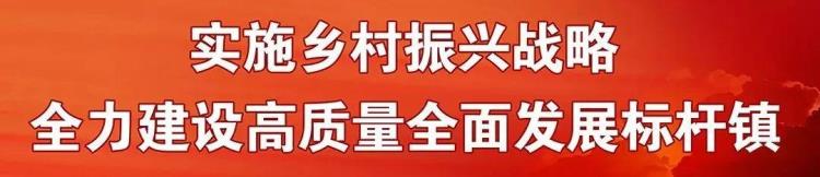 丹灶乒乓球协会「乒出精彩丹灶职工乒乓球混合团体赛开赛精彩瞬间回顾→」