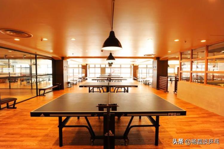 小马哥技术分享上篇成年人如何练习乒乓球
